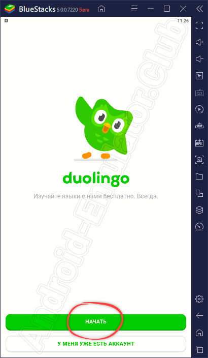 Начало работы с Duolingo на ПК