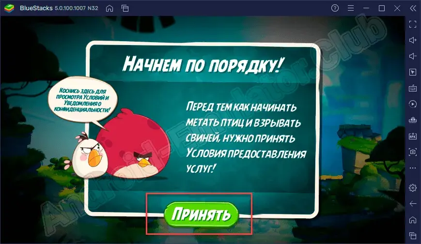 Пользовательское соглашение в Angry Birds 2